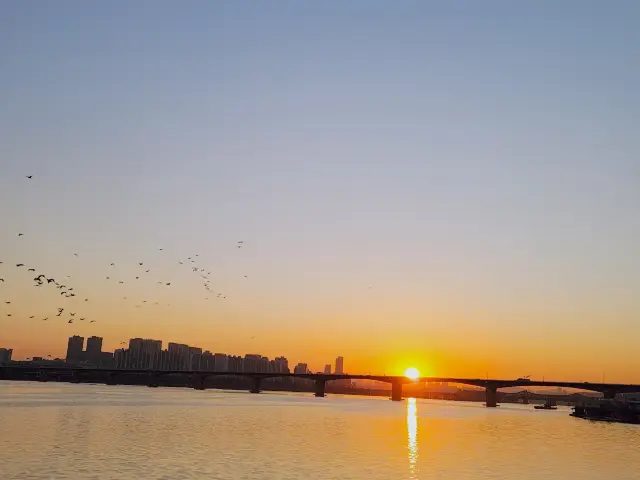 Yeouido Hangang Park