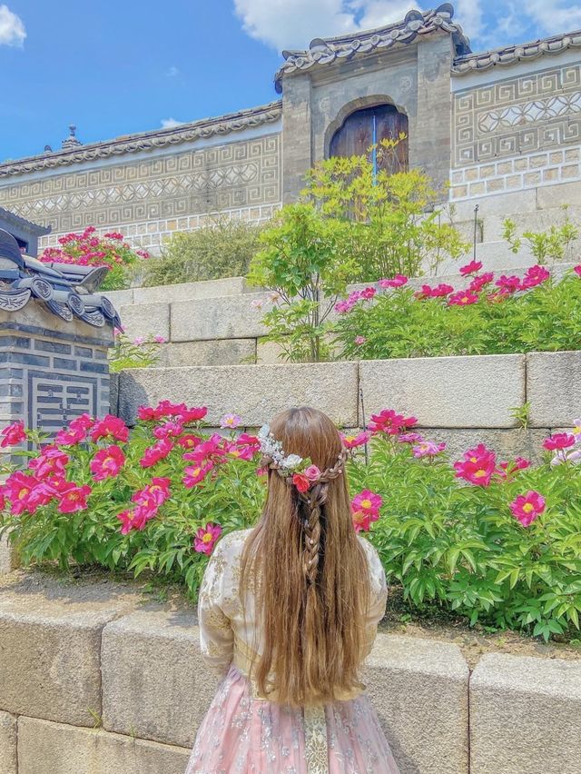 한복 입고 궁궐 걷기, 서울 창덕궁❤️
