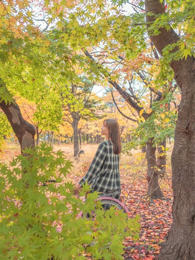 흐려도 아름다운 가을경주 황룡원🍁
