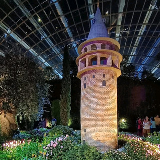 Tulipmania In Gardens By The Bay