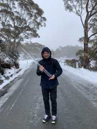 Trekking on snowy Mount Wellington