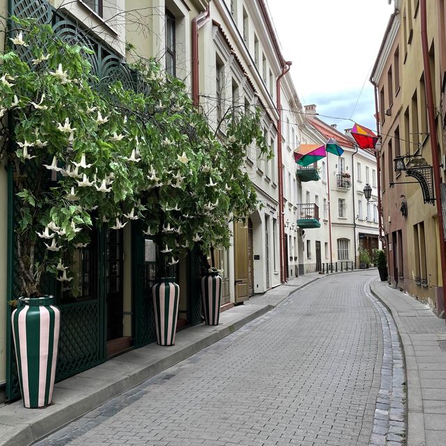 Enchanting Steps: Wander Vilnius Old Town