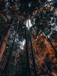 อีกหนึ่งน้ำตกที่แนะนำเชียงใหม่