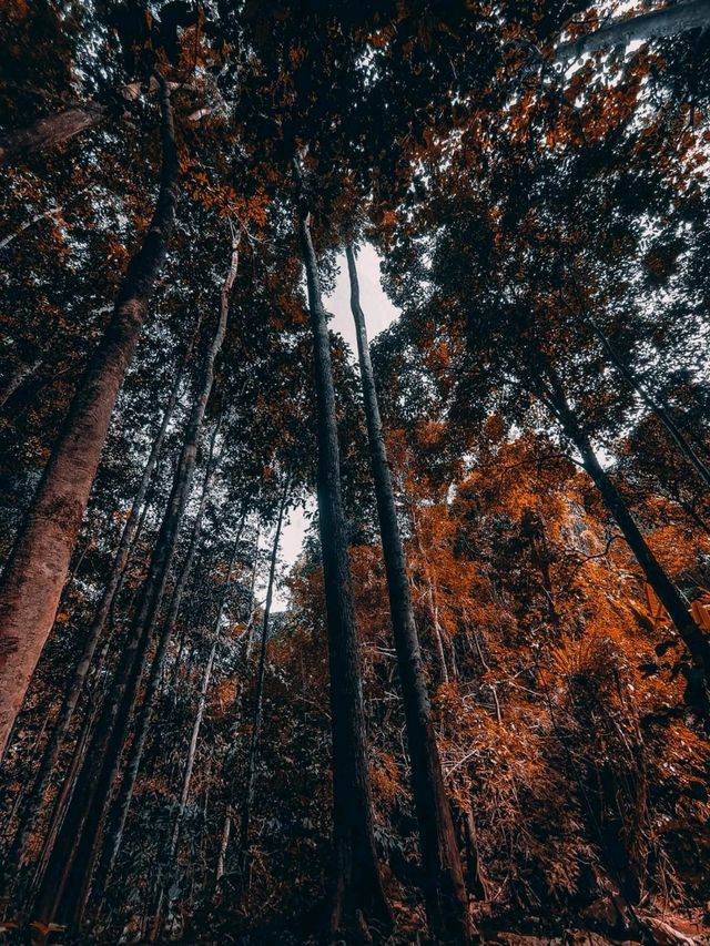 อีกหนึ่งน้ำตกที่แนะนำเชียงใหม่ อีกหนึ่งน้ำตกที่แนะนำเชียงใหม่