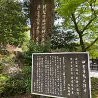 鹿児島「霧島神宮」神話と霊験あらたかな由緒ある国宝に指定された神社