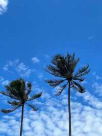 Meraki Oasis Hotel - มุยเน่