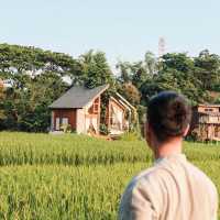 บ้านนาก๋างโต้ง Baan Na Kang Tong 🌾 จ. น่าน