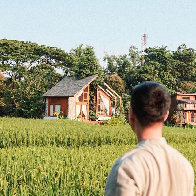 บ้านนาก๋างโต้ง Baan Na Kang Tong 🌾 จ. น่าน