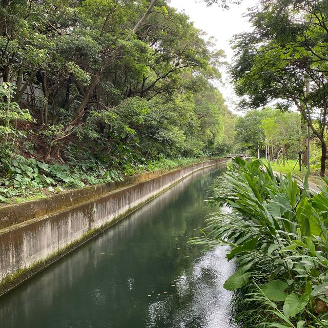 石門大圳綠色廊道 🍃