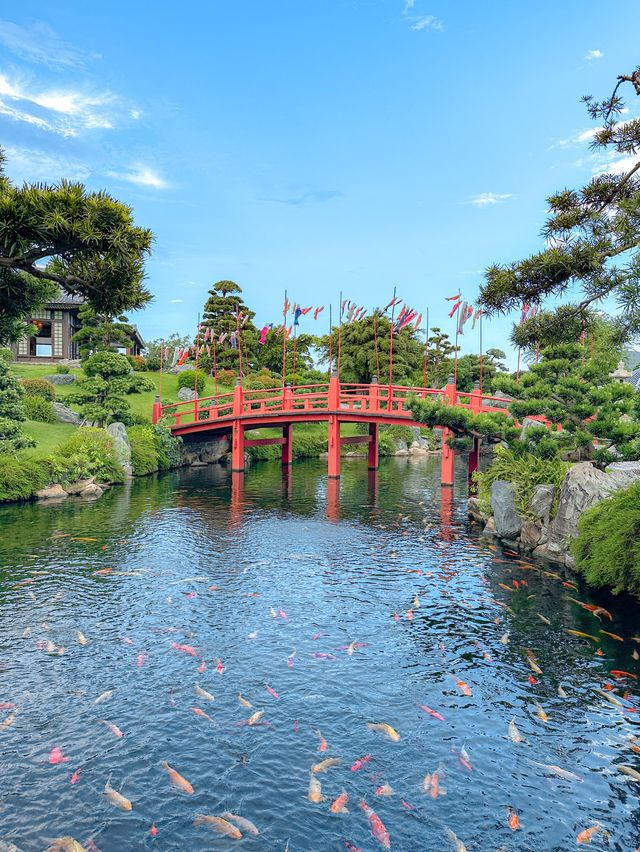 꼭 가볼 만한 나트랑의 디즈니랜드, 빈원더스 나트랑🎠