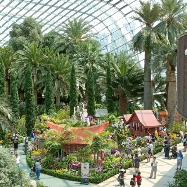 Orchid Extravaganza at Flower Dome 