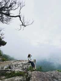 “ฮ่มหมอก บอกฮัก”อุทยานแห่งชาติภูแลนคา🌫️