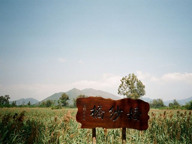南生圍一日遊