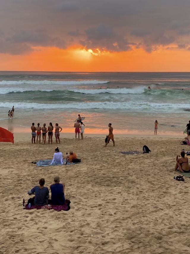 DREAMLAND BEACH 🏖️ 