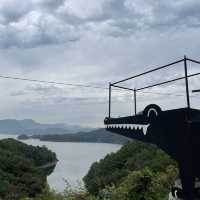 충주에서 만난 악어떼🐊😮🐊