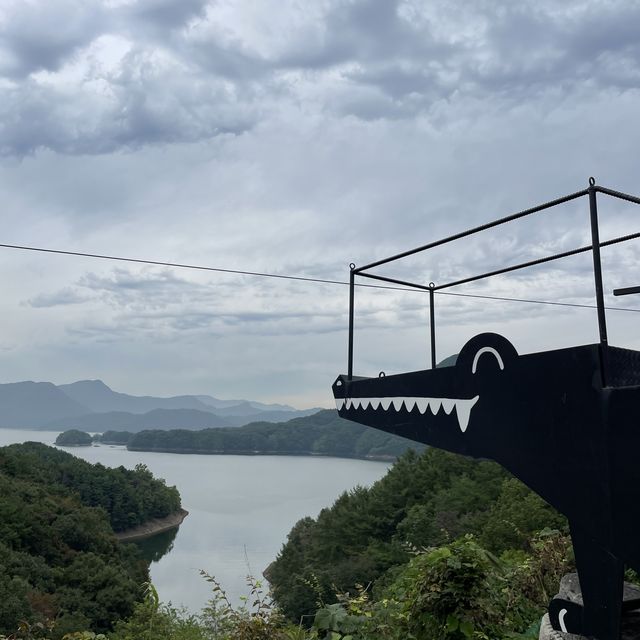 충주에서 만난 악어떼🐊😮🐊