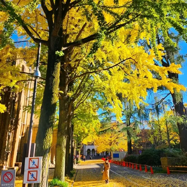 📍 University of Tokyo 