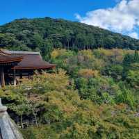 The Beautiful Kiyomizu Dera Temple 