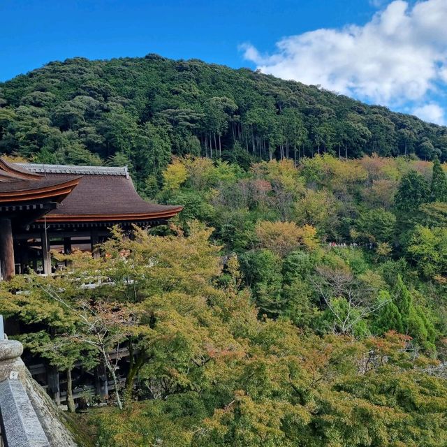 The Beautiful Kiyomizu Dera Temple 