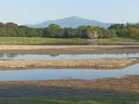 Hong Kong Wetland Park - Wetland and Marshes