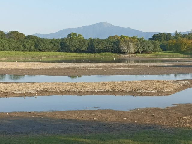 Hong Kong Wetland Park - Wetland and Marshes