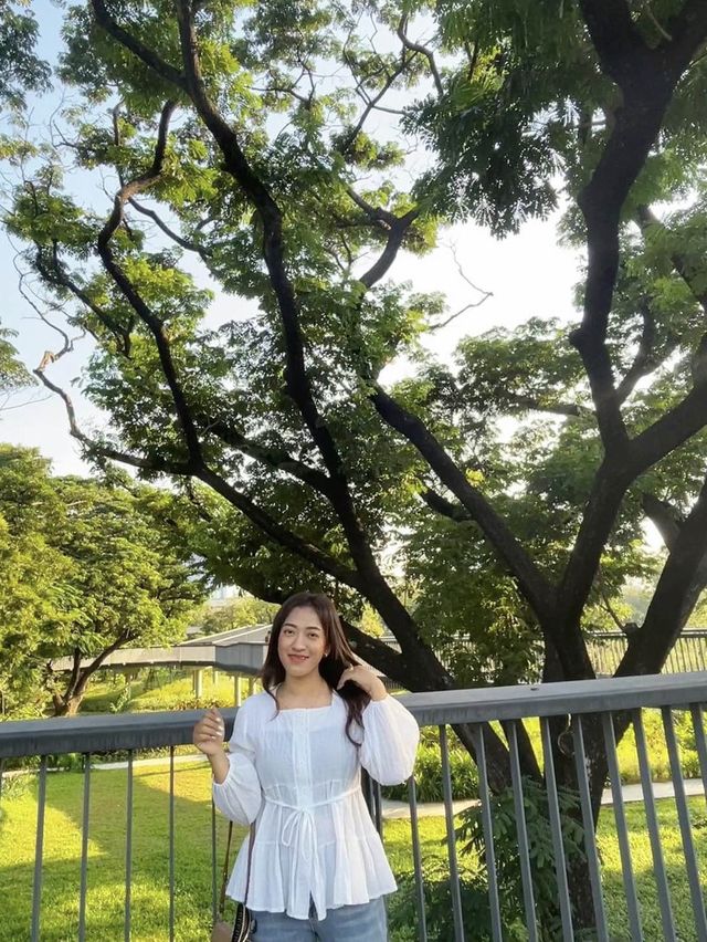 🌳สวนเบญจกิติ 🪴☘️