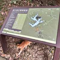 基隆 情人湖公園 及 大武崙山