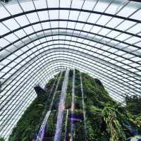 Clound Forest At Garden By the Bay