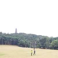 登青秀山鳳凰塔 觀南寧一江兩岸