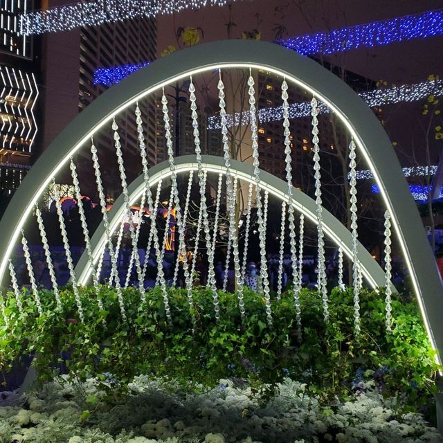 香港花卉展覽2023 - 夜