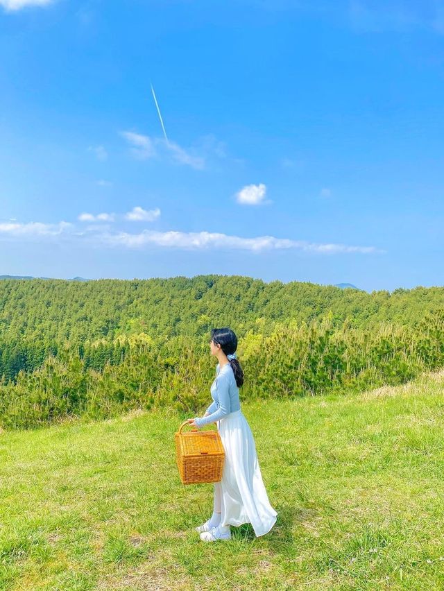 제주 동화 속 그 잡채 피크닉스팟🧺🌿