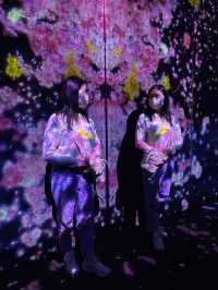 澳門其中一個最火紅的景點😍 #teamLab 無買錯飛～^_^入面好靚又好玩！