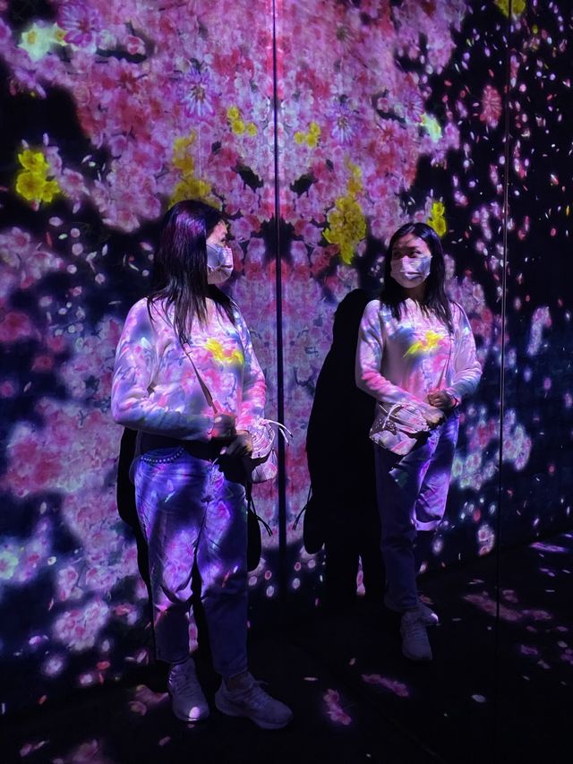 澳門其中一個最火紅的景點😍 #teamLab 無買錯飛～^_^入面好靚又好玩！