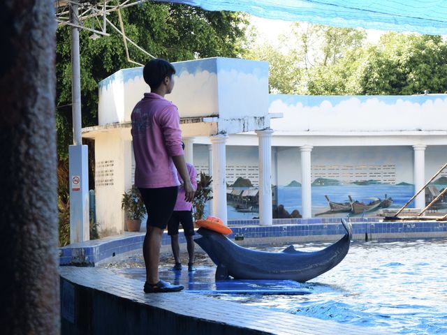 โอเอซีส ซีเวิลด์ 🐬🏖️