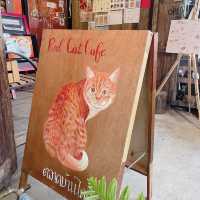 "ตลาดบ้านใหม่"