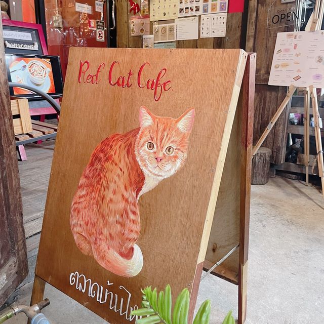 "ตลาดบ้านใหม่"
