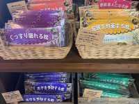 【岡山県】蒜山ハーブガーデンでラベンダー摘み