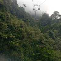 Viewing Natural Forest When Taking Skyway