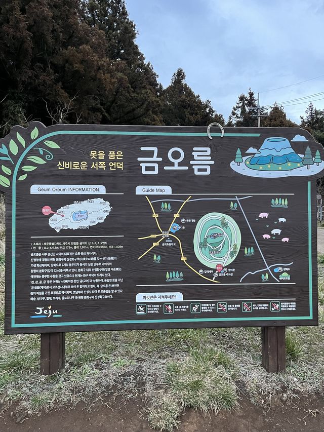 제주 오름 투탑 금오름에서 노을 보기