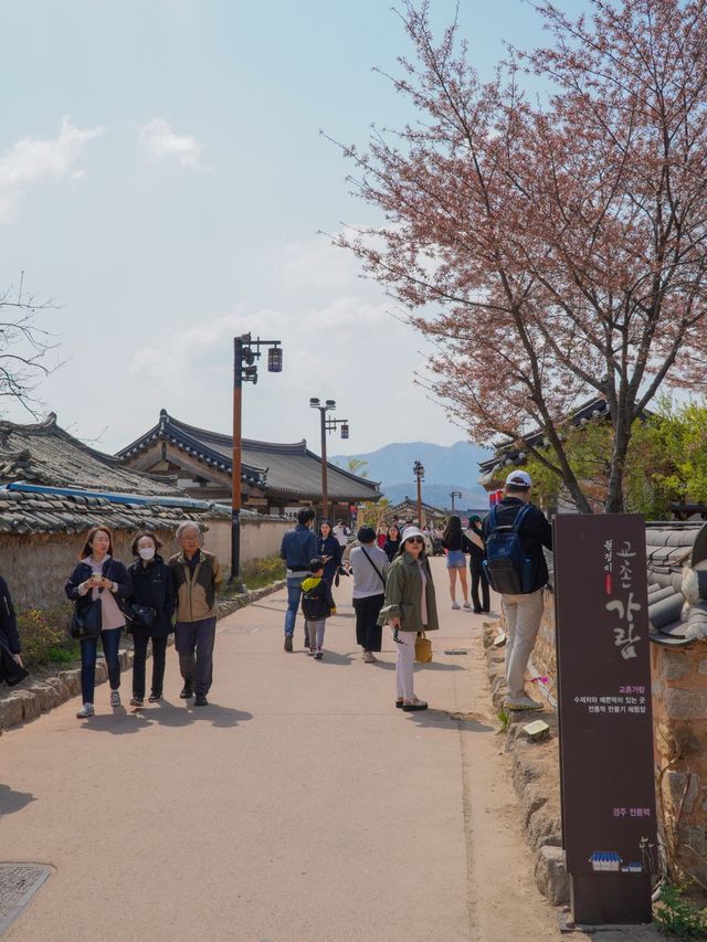 활기찼던 경주의 교촌마을