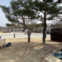 대전 피크닉 명소, 대전엑스포시민광장(남문광장) 주차장 등