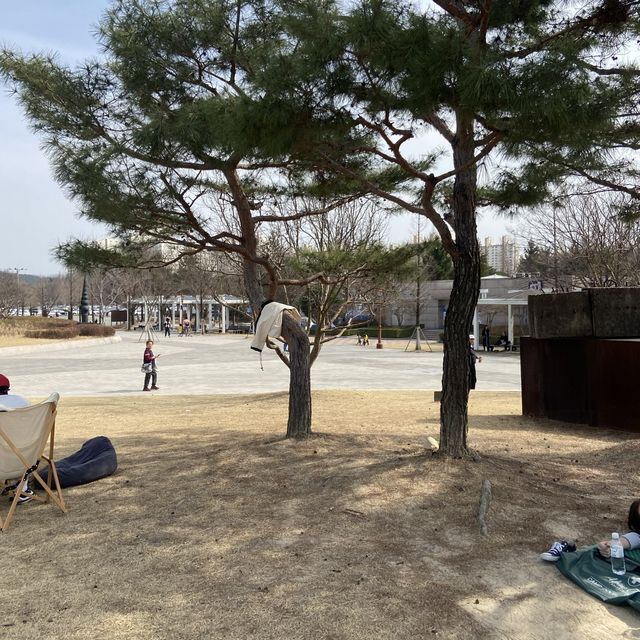 대전 피크닉 명소, 대전엑스포시민광장(남문광장) 주차장 등