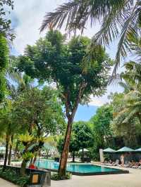 Summer Breeze at Anvaya Resort Bali