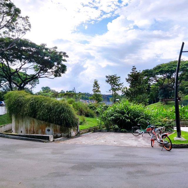 A Fun Playground and Green Nature for Kids 