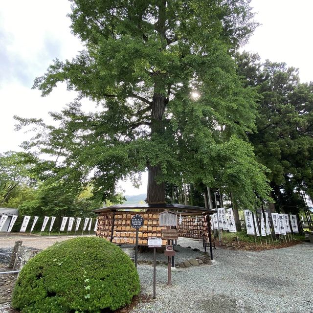 仙台秋保・勝負の神様「秋保神社」で願ってきた