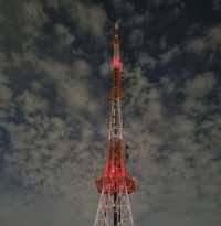 Seoul tower with locks of love