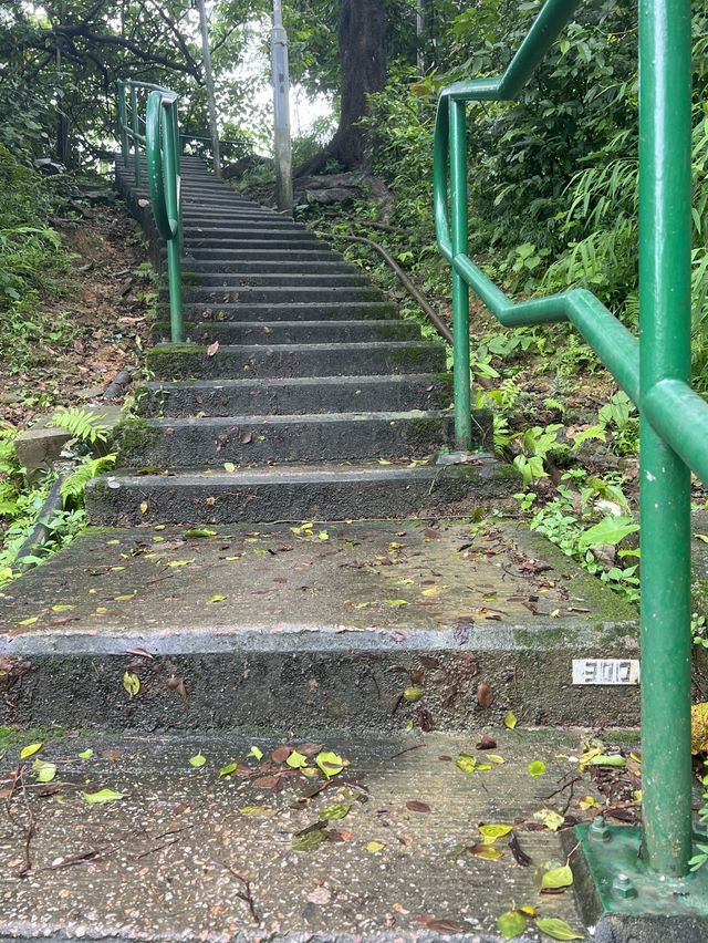 Hiking route from Tsuen Wan for nice view & food