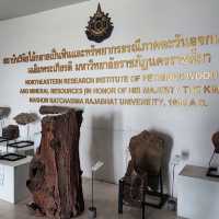 พิพิธภัณฑ์ไม้กลายเป็นหิน ตามรอยยุคหินไดโนเสาร์
