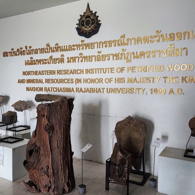 พิพิธภัณฑ์ไม้กลายเป็นหิน ตามรอยยุคหินไดโนเสาร์