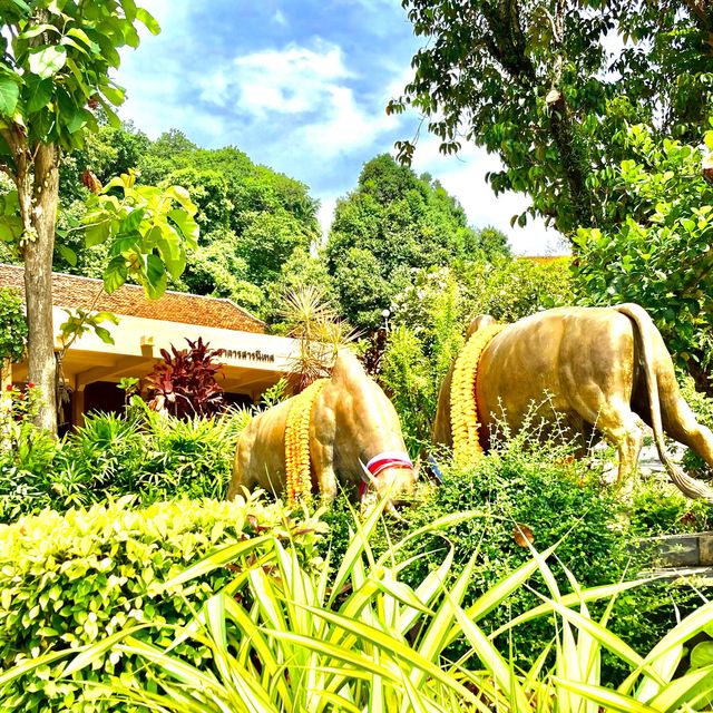 Southern Folklore Musuem